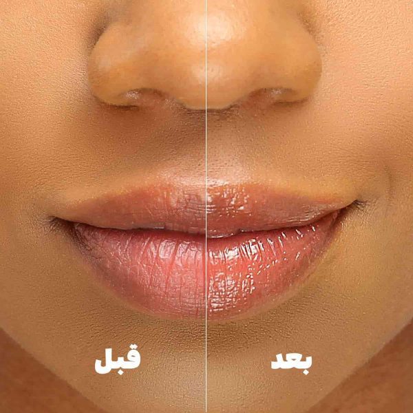بالم لب لانیج لانیژ - Image 4
