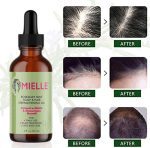 روغن ضد ریزش مو رزماری و نعناع میله Mielle Organics Rosemary Mint Scalp & Hair - Image 7