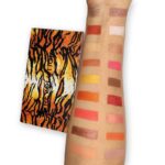 پالت سایه چشم Fierce رولوشن