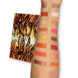 پالت سایه چشم Fierce رولوشن
