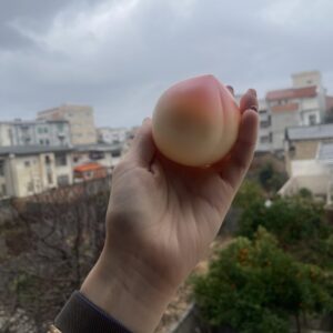 کرم مراقبتی و مرطوب کننده هلو