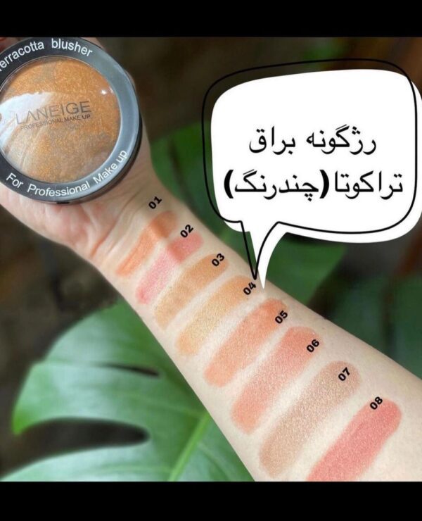 رژگونه تراکوتا لنیج